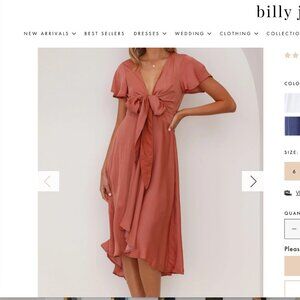 NWT Sunny Daze Dress in Rose